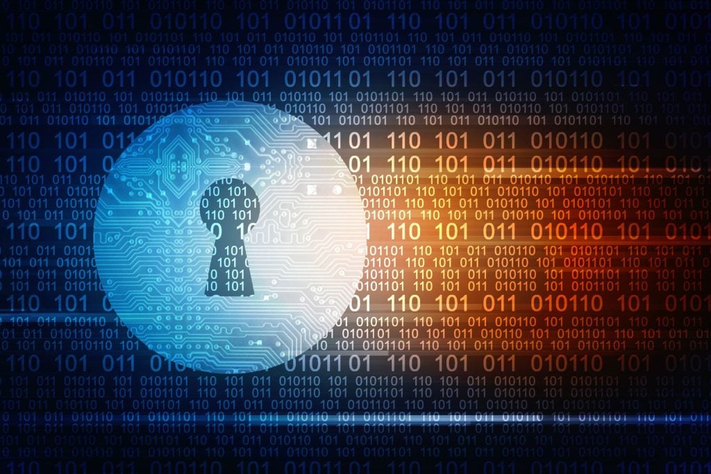 Software Intellectual Property Rights