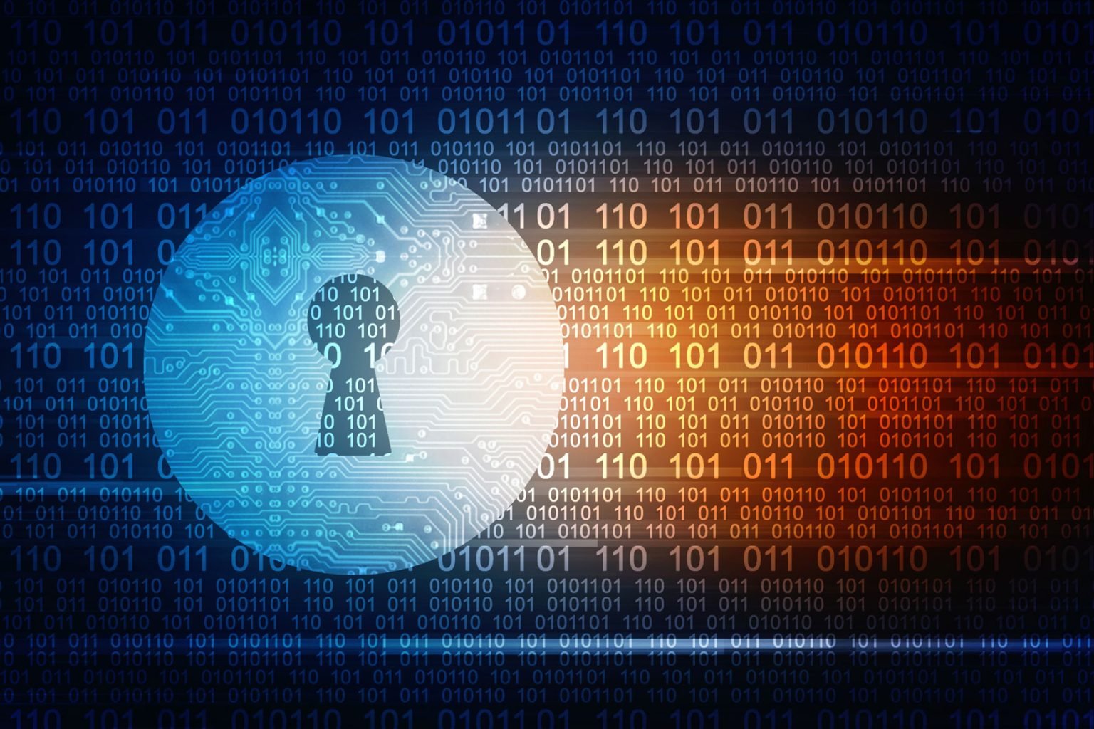 Software Intellectual Property Rights